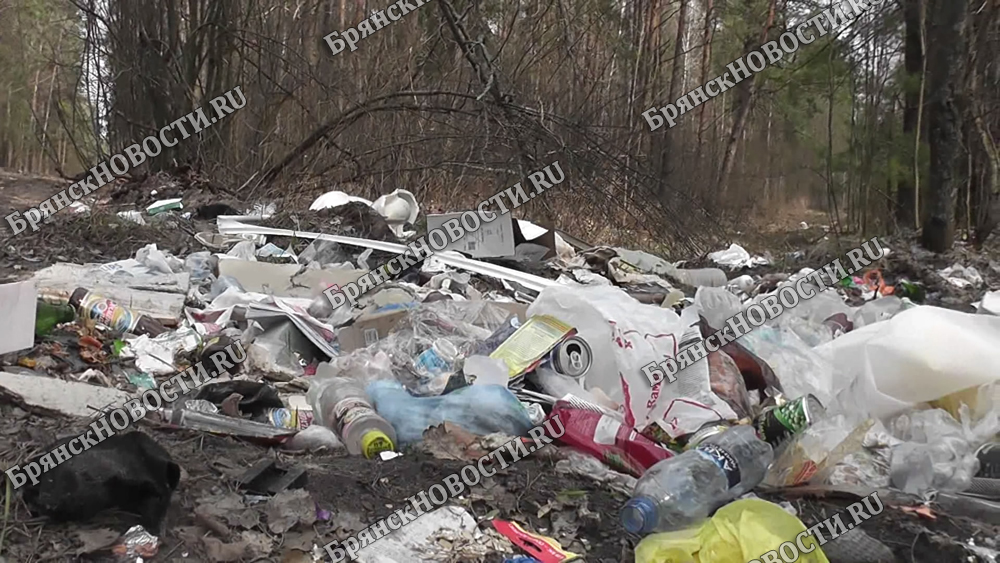 Брянскую область завалили мусором