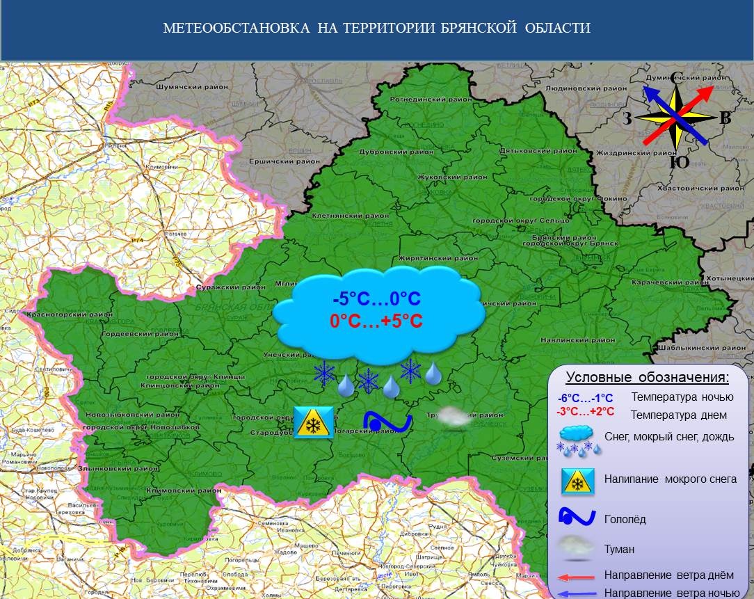 Дождь, мокрый снег в Брянской области с усилением ветра