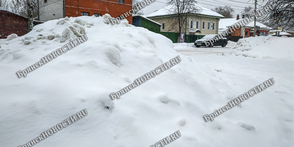 Брянскую область завалит снегом