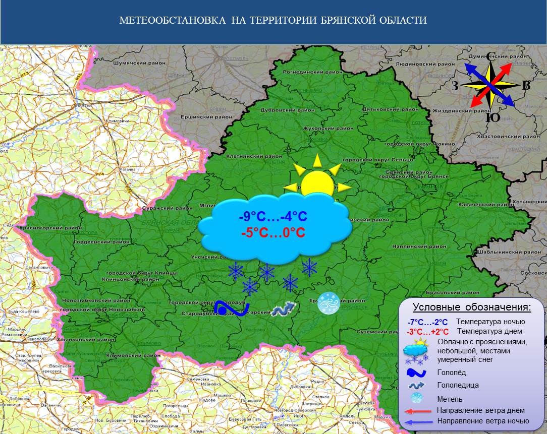 Морозы ослабли в Брянской области