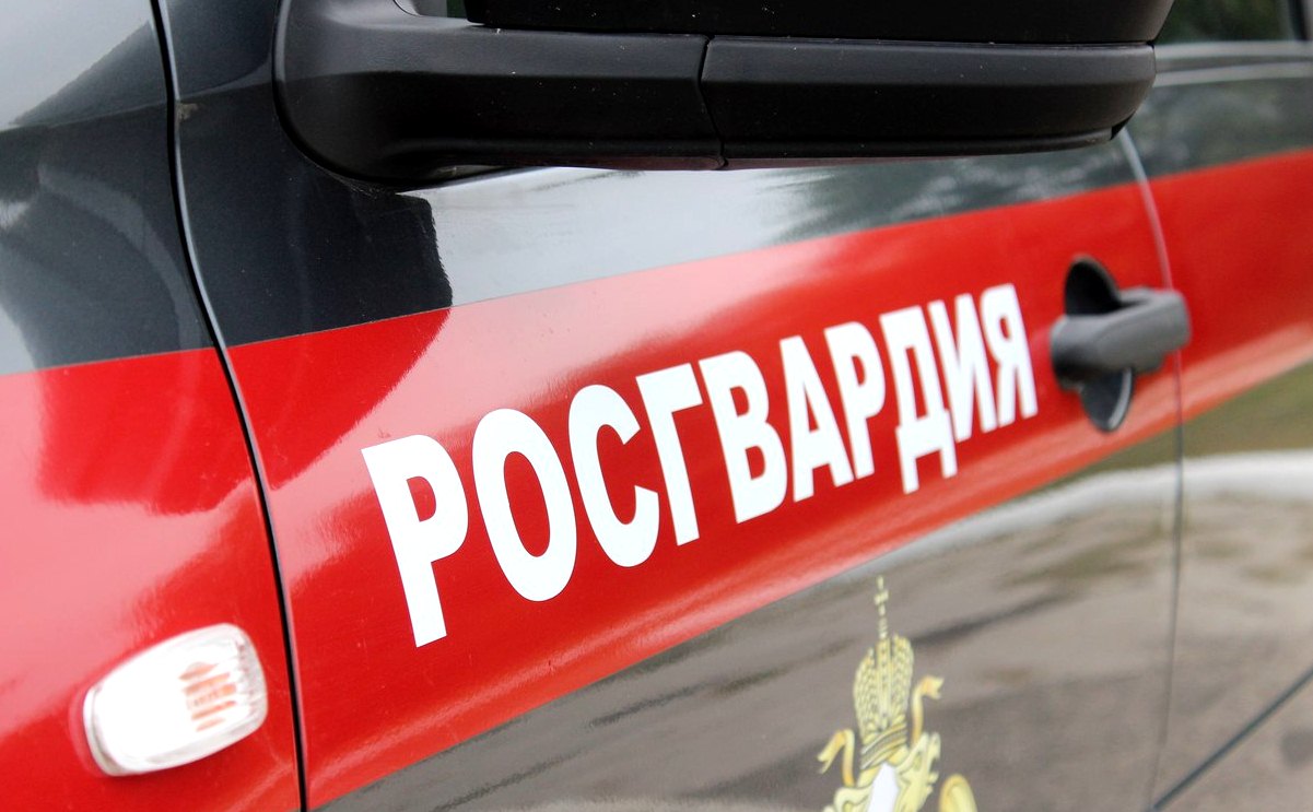 Пятерых подозреваемых в совершении преступлений задержали росгвардейцы в Брянской области