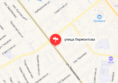 На улице Лермонтова в Новозыбкове случился «мусорный» пожар