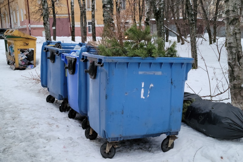 Елки в мусорных контейнерах парализовали работу перевозчиков отходов в Брянске