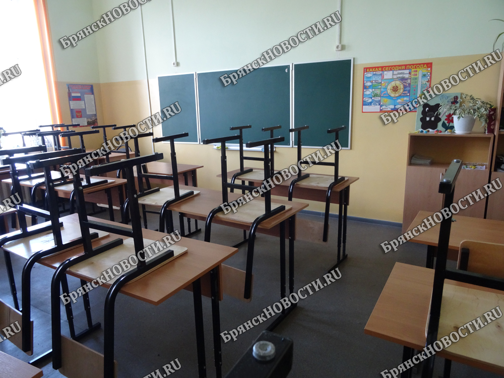 В Брянской области под карантин попали 400 школьных классов
