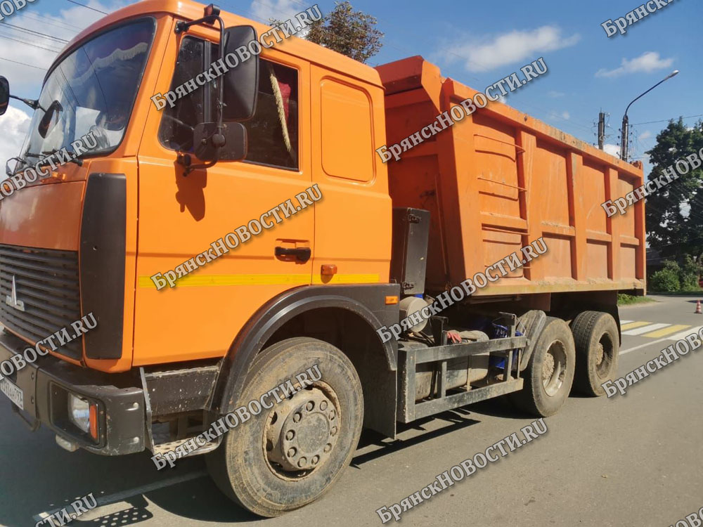 На пять лет могут посадить водителя грузовика, раздавившего женщину в Новозыбкове