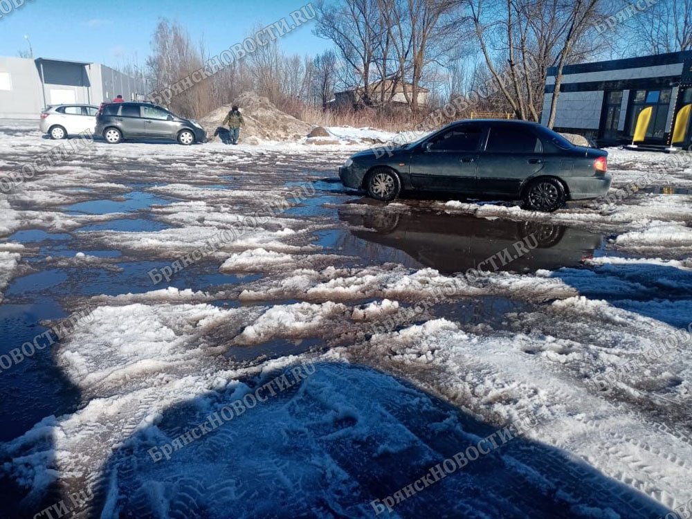 Территорию у автовокзала в Новозыбкове забросили