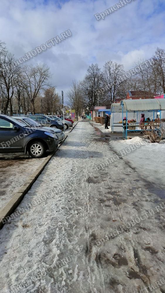 В Новозыбкове над состоянием дорог работает природа