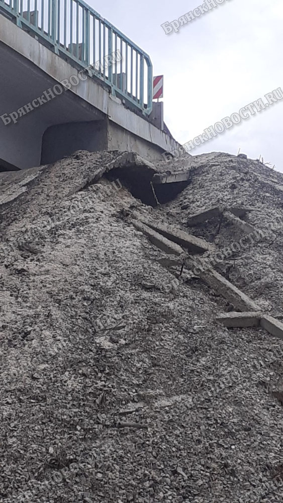 Опора моста на федеральной трассе в Брянской области продолжает терять «обложку»