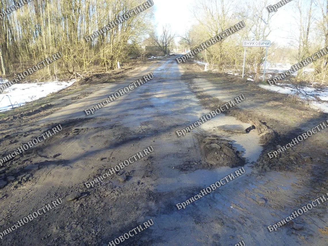 В селе под Новозыбковом тяжелой техникой разворотили дорогу