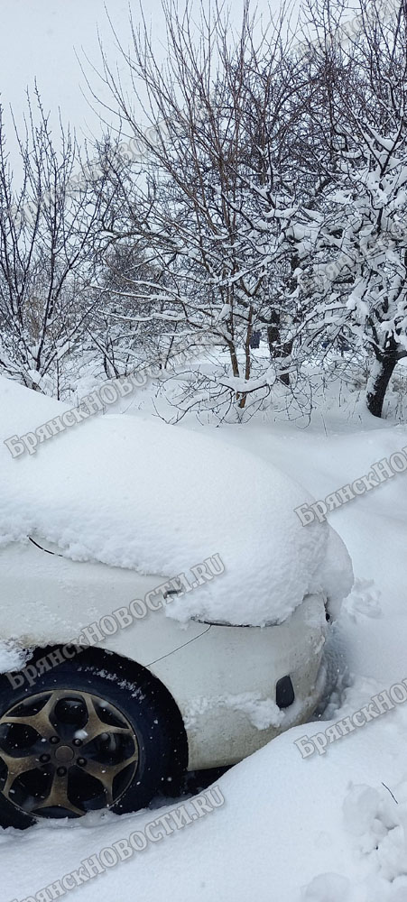 Мощный снегопад из южных регионов может не добраться до Брянска