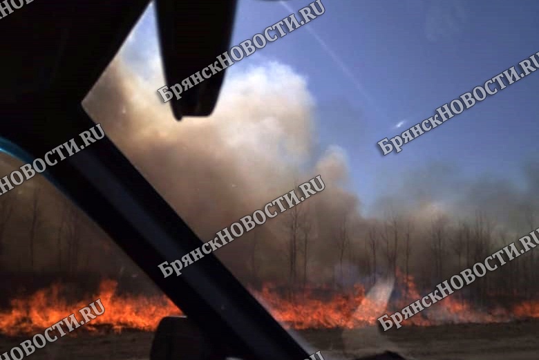 Травяные палы стали причиной пожаров в Новозыбковском округе. Сгорели дом и гараж
