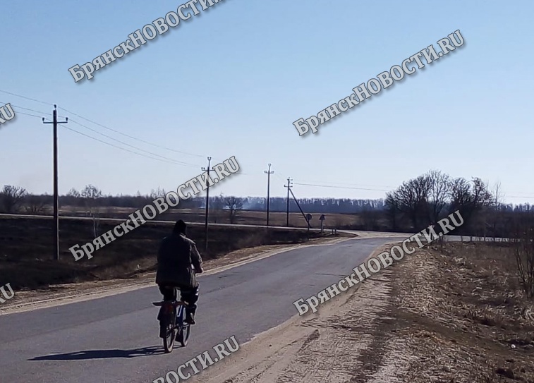 Палы идут на гектары: в Новозыбковском округе тушили крупнейший пожар