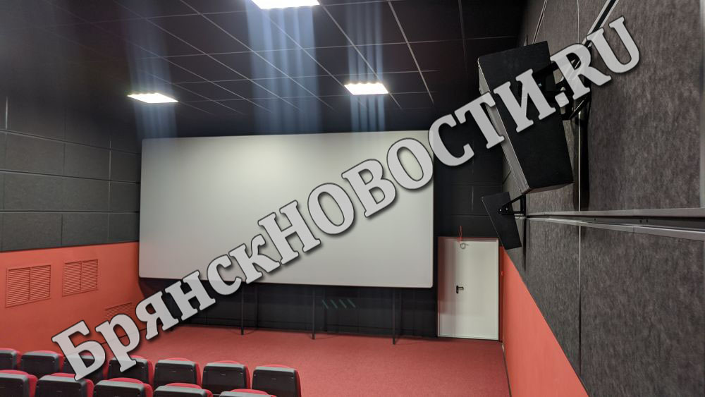 «Бэтмен» в гоблинском переводе? В кинотеатре Новозыбкова назвали самое главное зло «киносанкций»