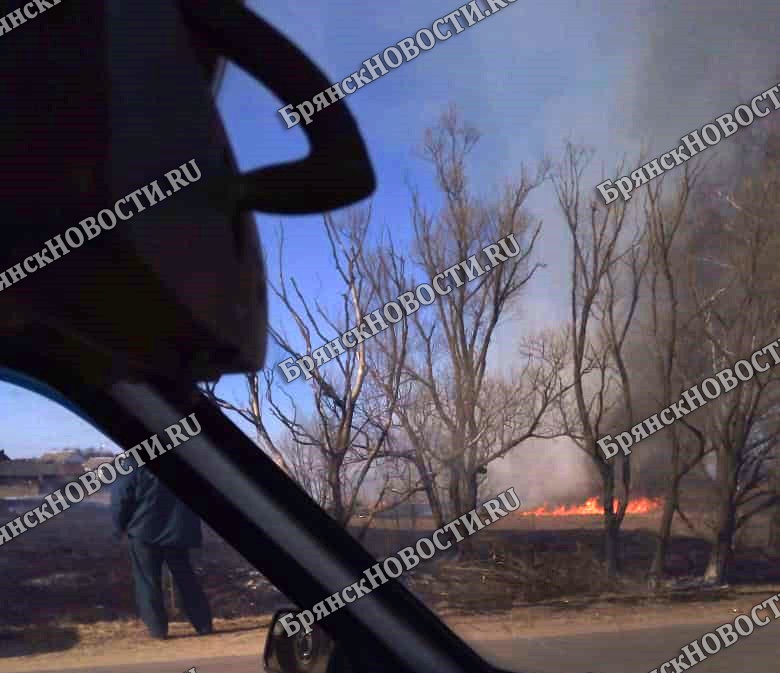 Округ в огне: за сутки в Новозыбкове и окрестностях потушили восемь травяных и мусорных палов