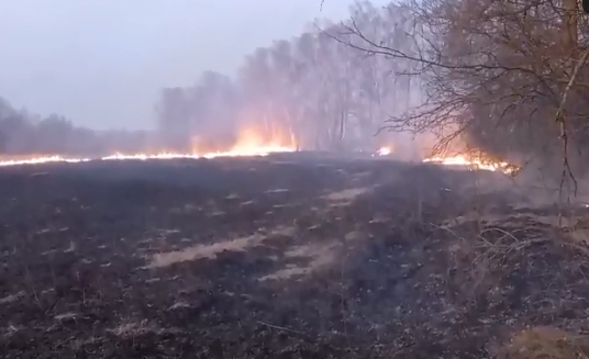 Пожар почти в два гектара тушили под Новозыбковом