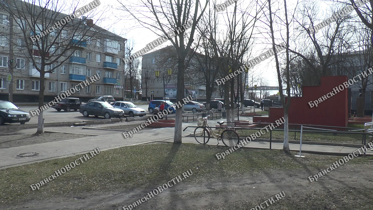 После затянувшегося празднования 8 марта жительница Новозыбкова пошла в полицию
