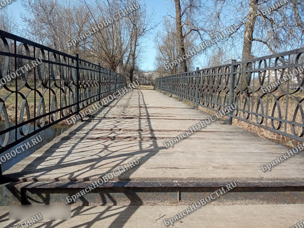 Ажурные перила и прогнивший настил моста в Новозыбкове
