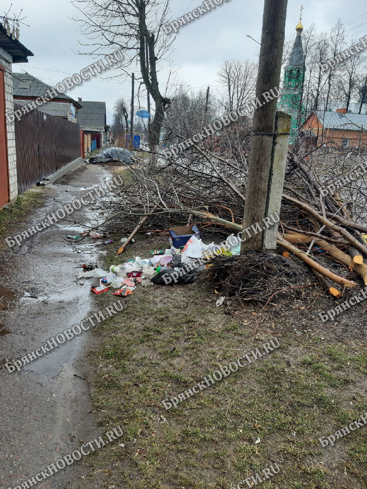 «Столбовые дворяне» в Новозыбкове выносят свой мусор к чужим воротам