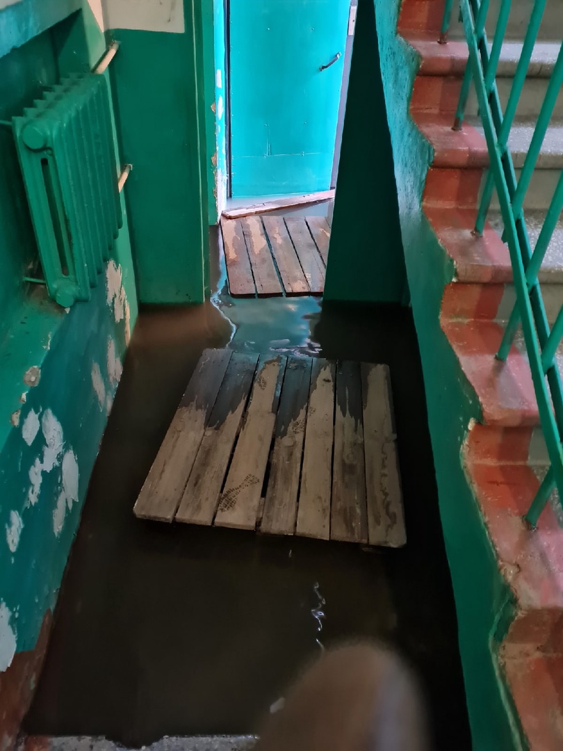 В Новозыбкове вновь затопило канализацией подъезд