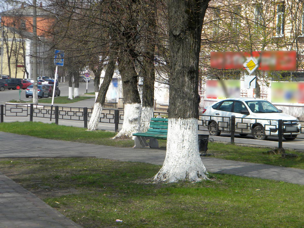 Почему в Москве на улицах не белят деревья
