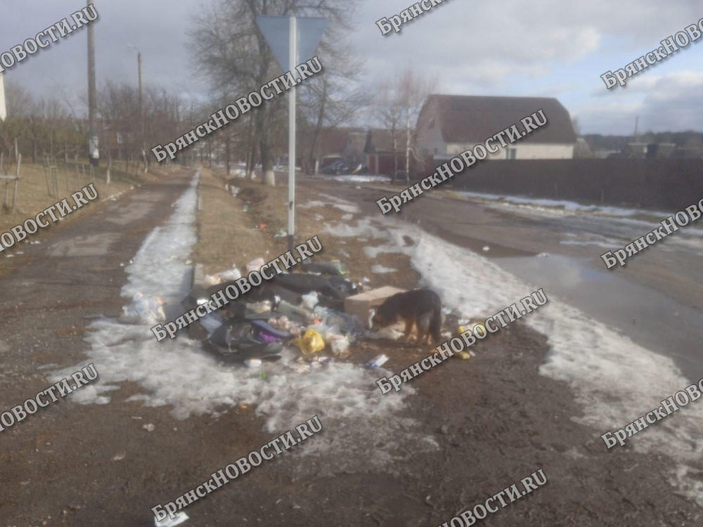 В Новозыбкове показали результаты мусорной реформы
