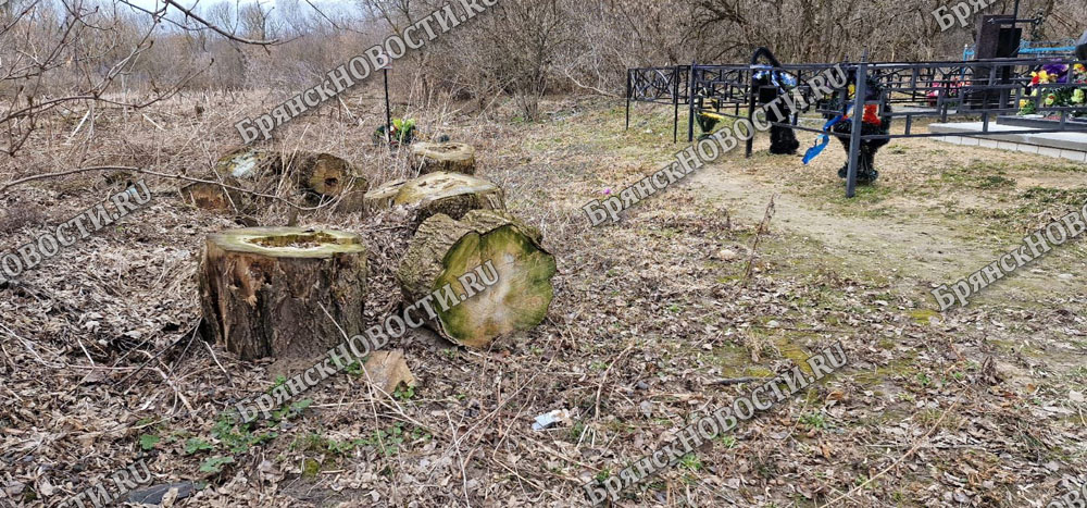 Кладбища в Новозыбкове приводят в порядок после зимы
