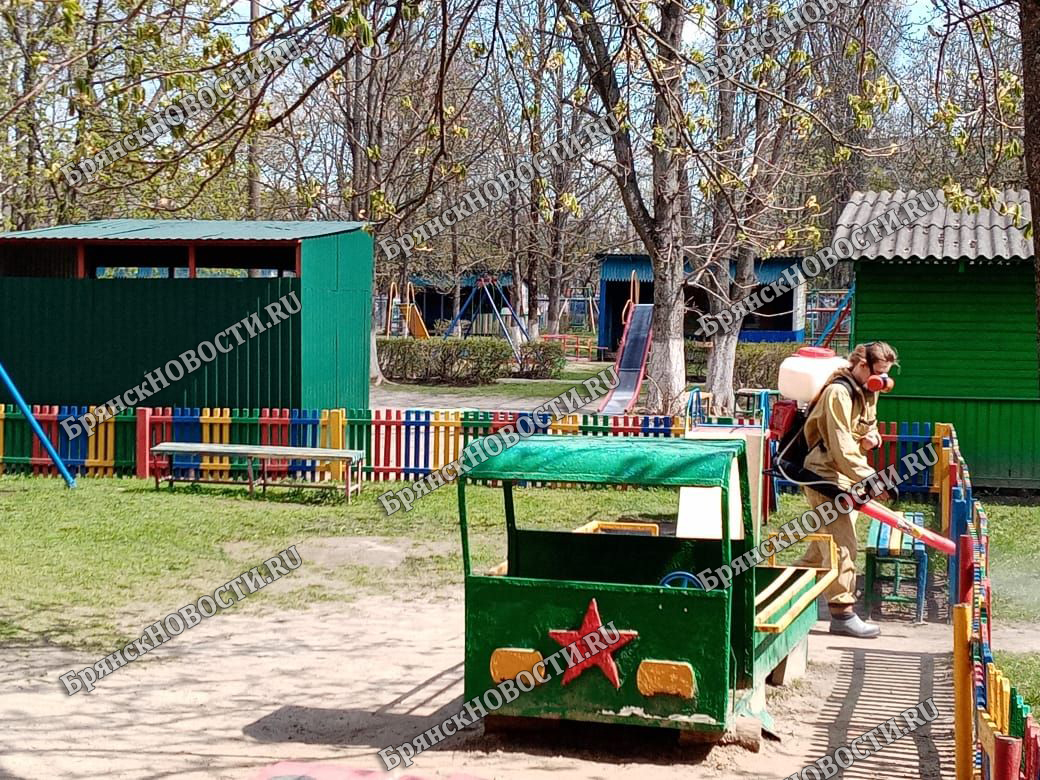 В школах и детских садах Новозыбкова работают дезинсекторы