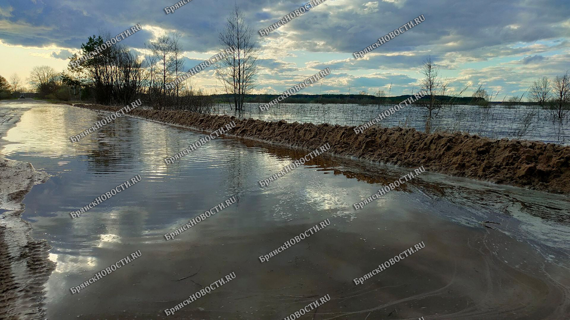 В Новозыбковском округе паводок, которого не видели последние 10 лет