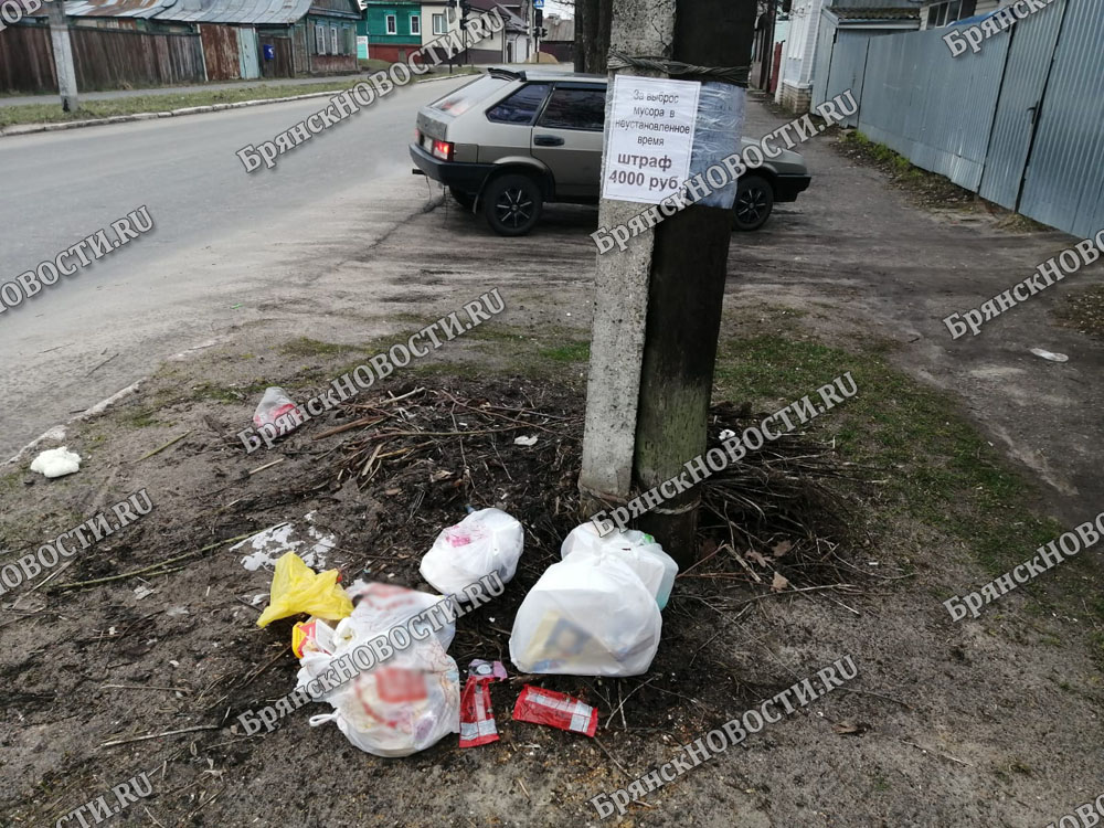 «Не долго мы радовались». Жильцы улицы Комсомольской в Новозыбкове сообщают о новом сезоне мусорной эпопеи