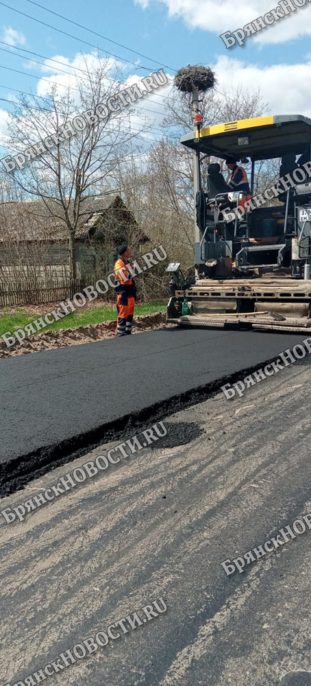 О ремонте дороги в деревне Халеевичи Новозыбковского района