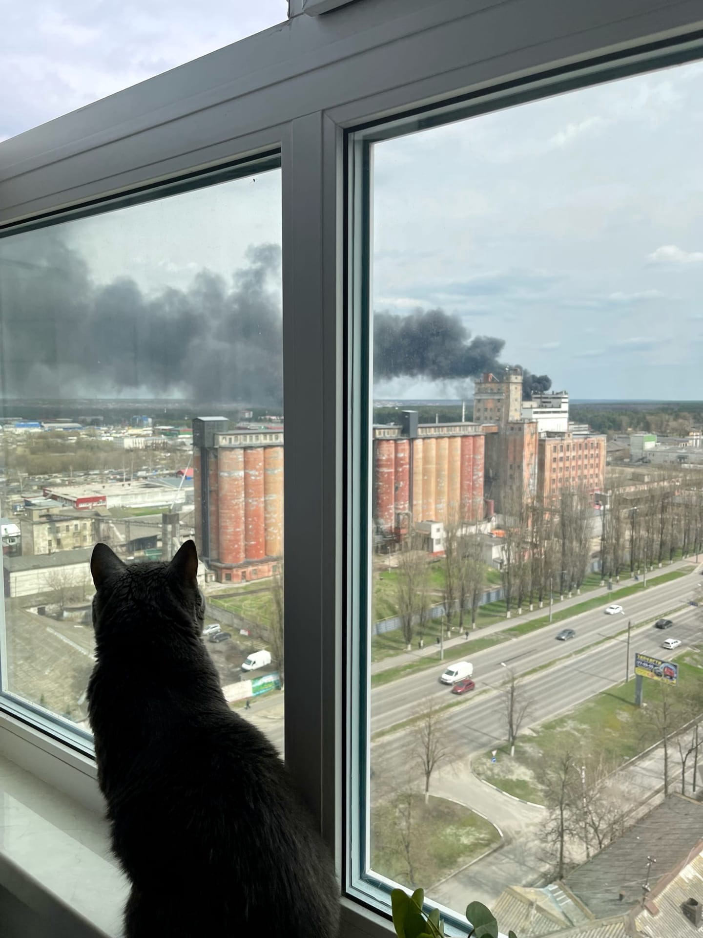 В Минэнерго сообщили о запасах топлива в Брянске после пожара на нефтебазе