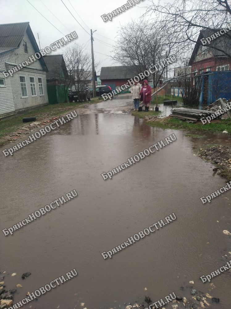 Жители переулка Некрасова в Новозыбкове терпят бедствие