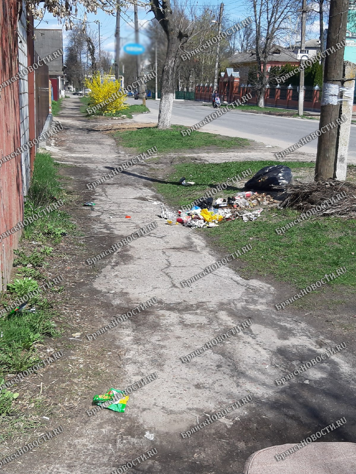 В Новозыбкове предупреждение о «мусорном» штрафе не работает