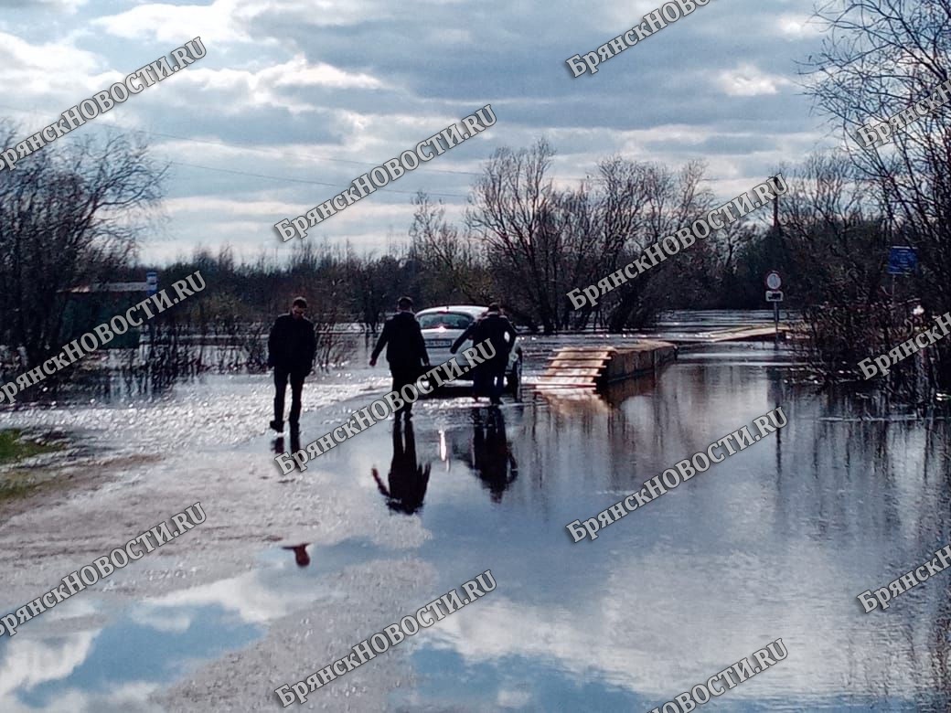 Службы Новозыбкова оценивают последствия паводка в селе Перевоз