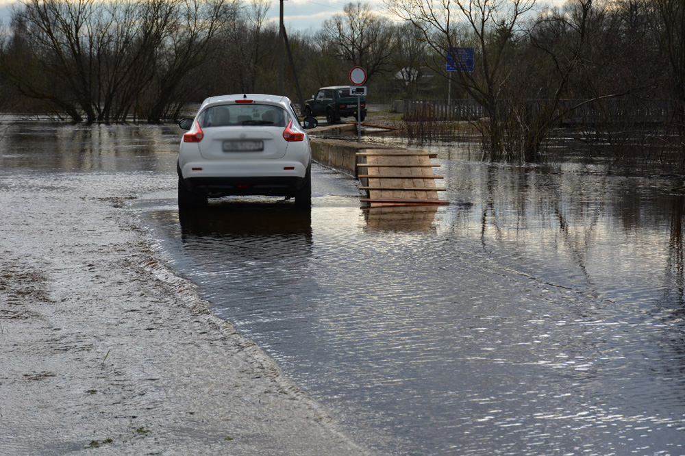 Из-за разлива реки Ипуть частично затопило дорогу Новозыбков – Перевоз