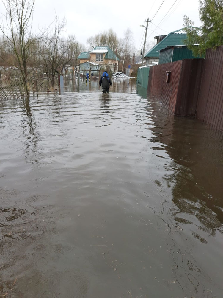 Два жилых дома и десятки участков затоплены в Брянской области