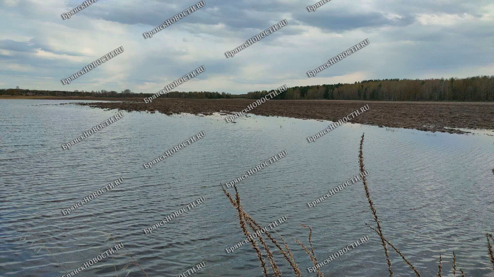 Под Старыми Бобовичами в Новозыбковском районе затопило поля