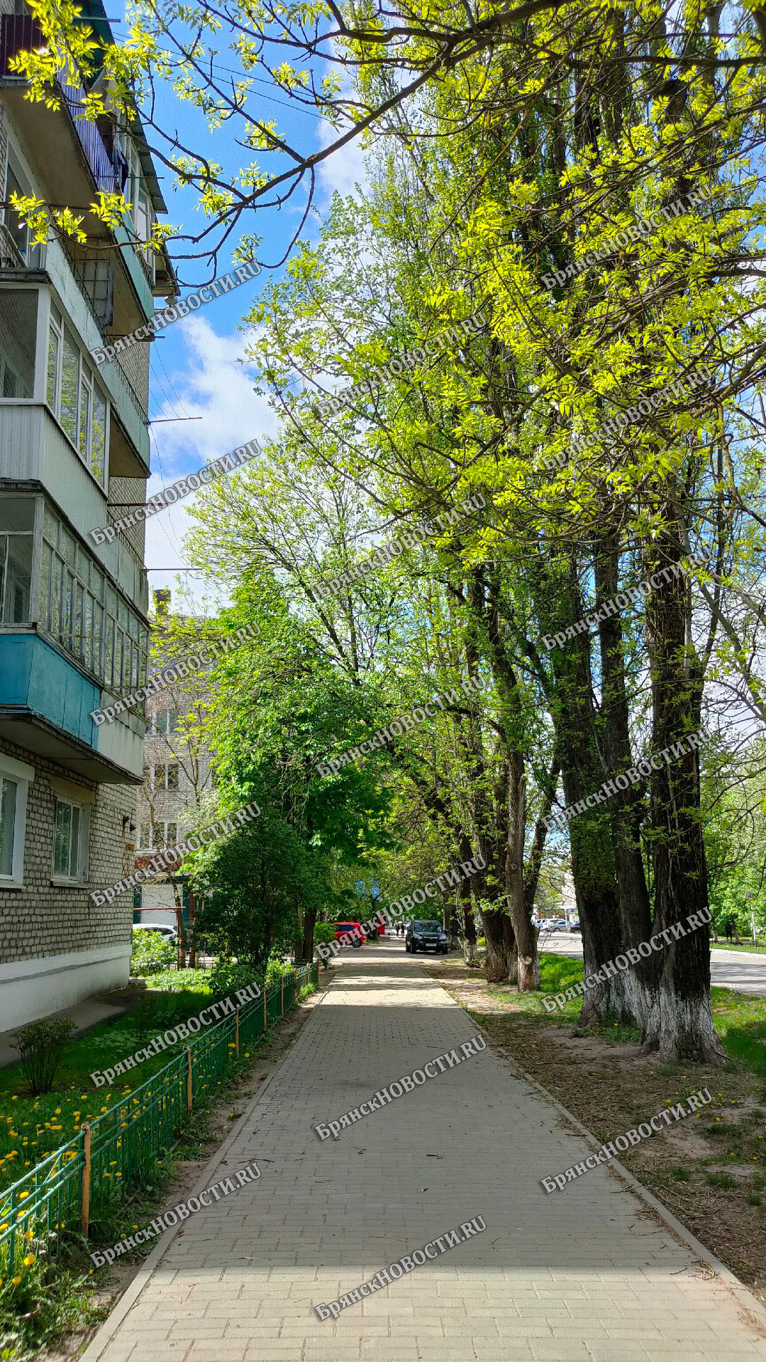 Брянские семьи могут позволить себе больше