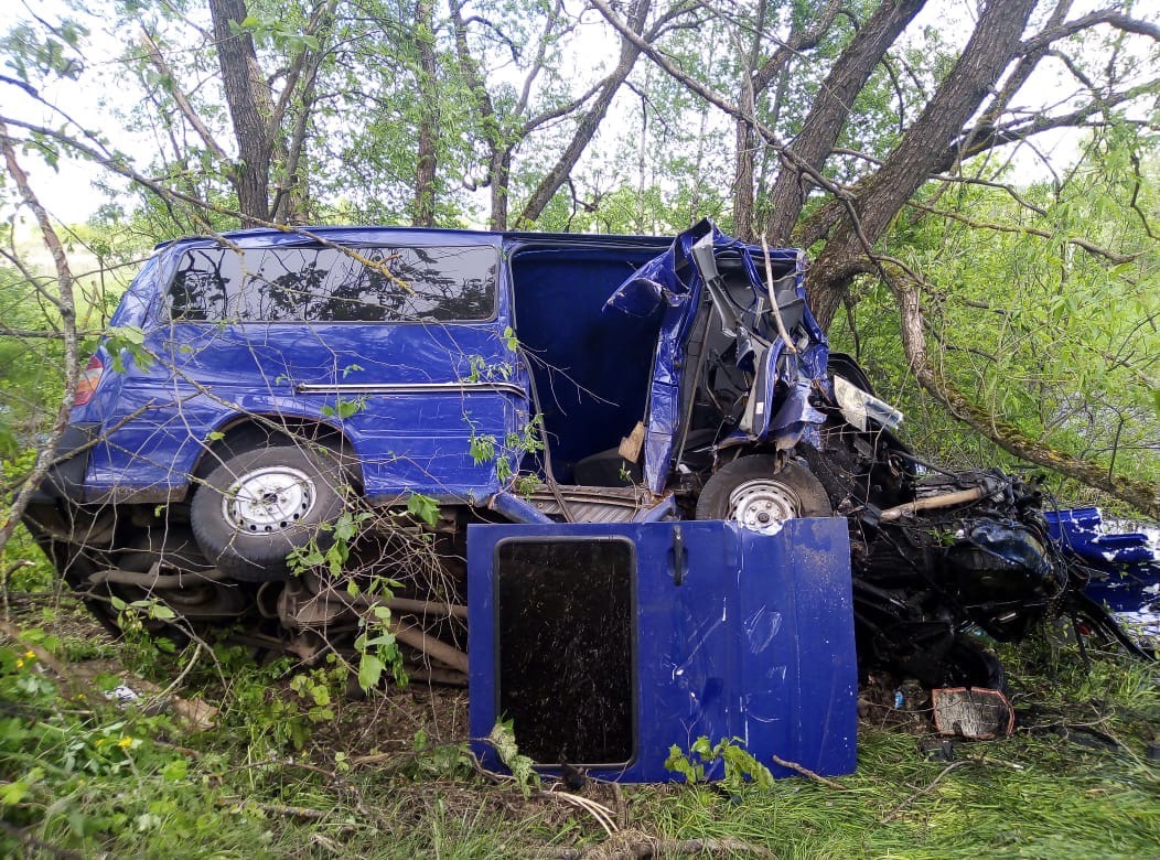 Автомобиль превратился в груду металлолома после аварии на брянской трассе под Злынкой