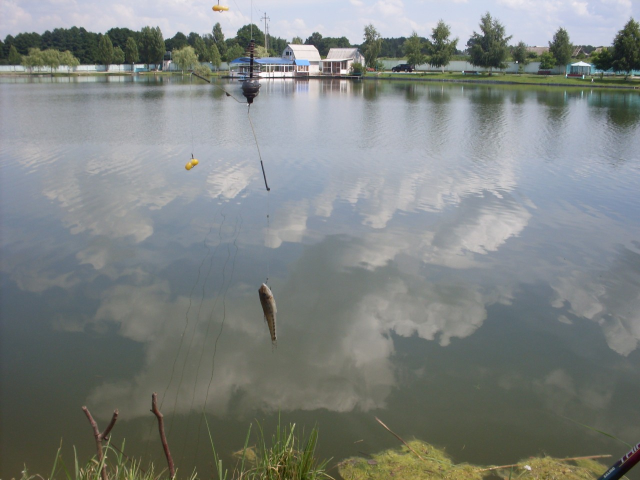 Рыбные места в Брянской области назвали «медленно умирающими» объектами