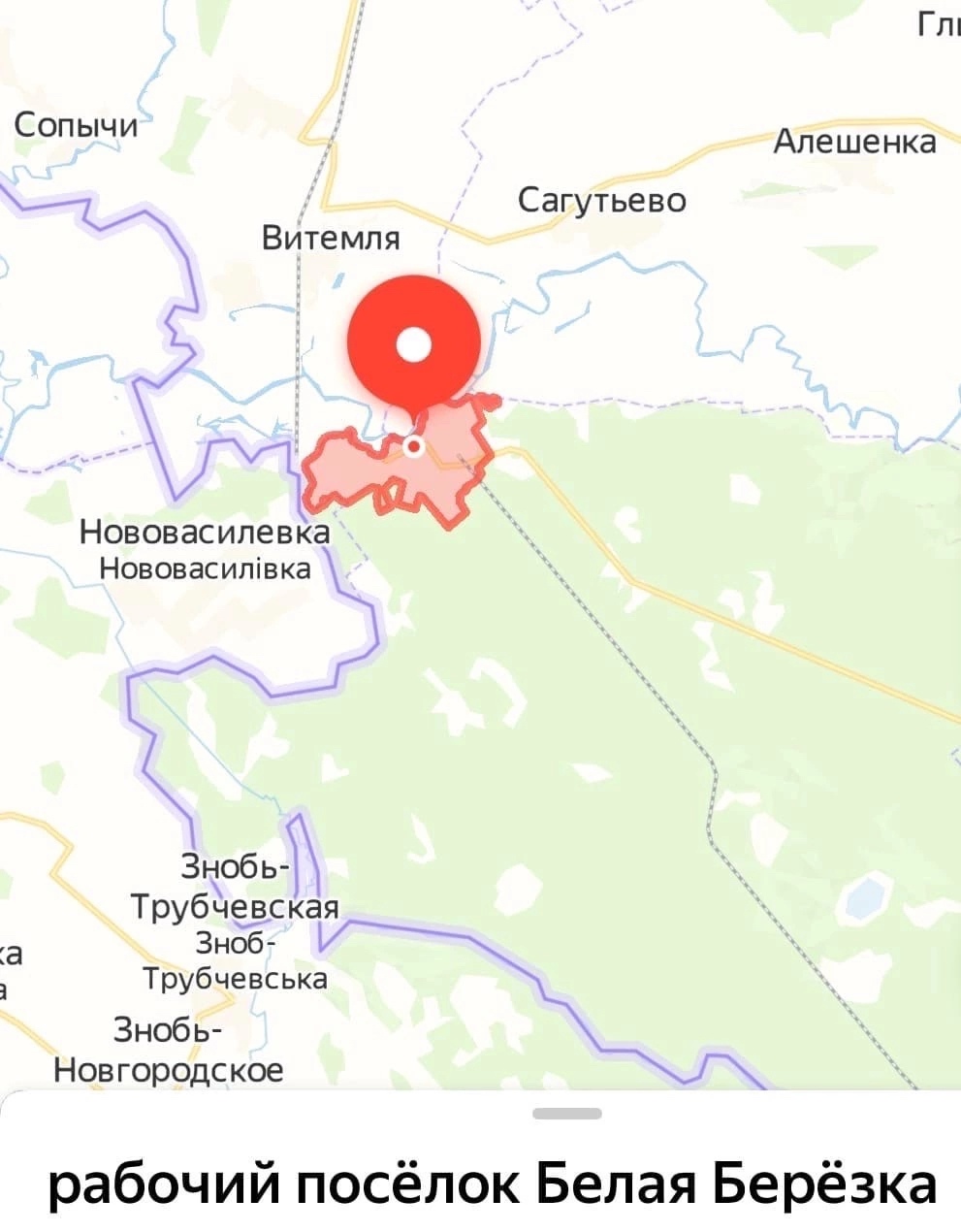 В Трубчевском районе жители рассказали о стрельбе на границе