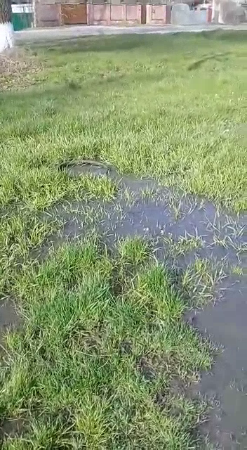 На Мичурина в Новозыбкове не перестает течь канализация