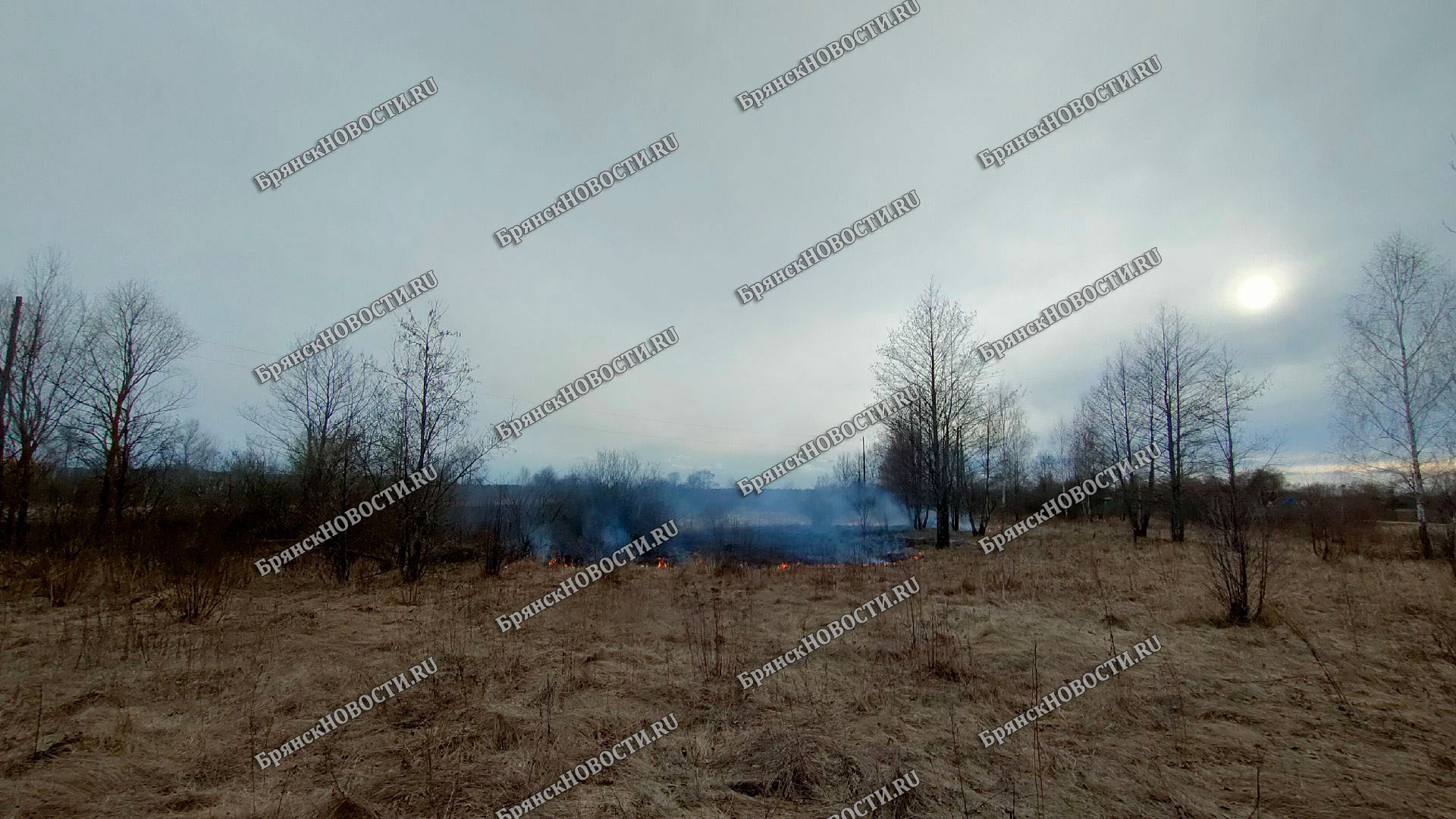 В Новозыбковском районе тушат пожары