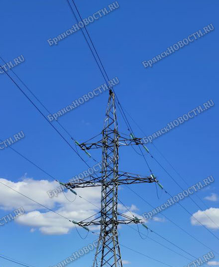 В шести населенных пунктах Новозыбковского округа отмечено отключение электричества