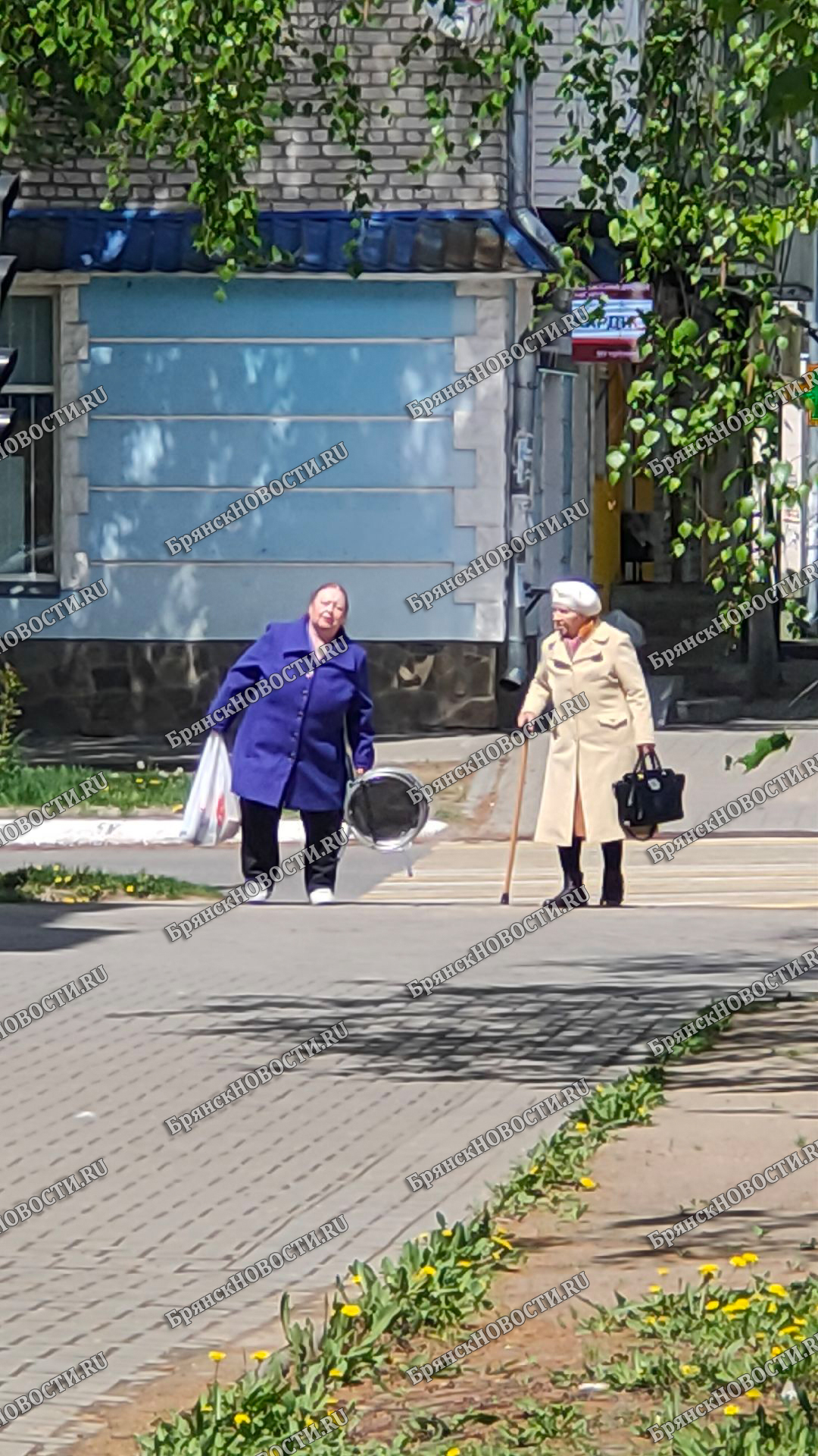 В Новозыбкове первые пенсионеры получили повышенную пенсию