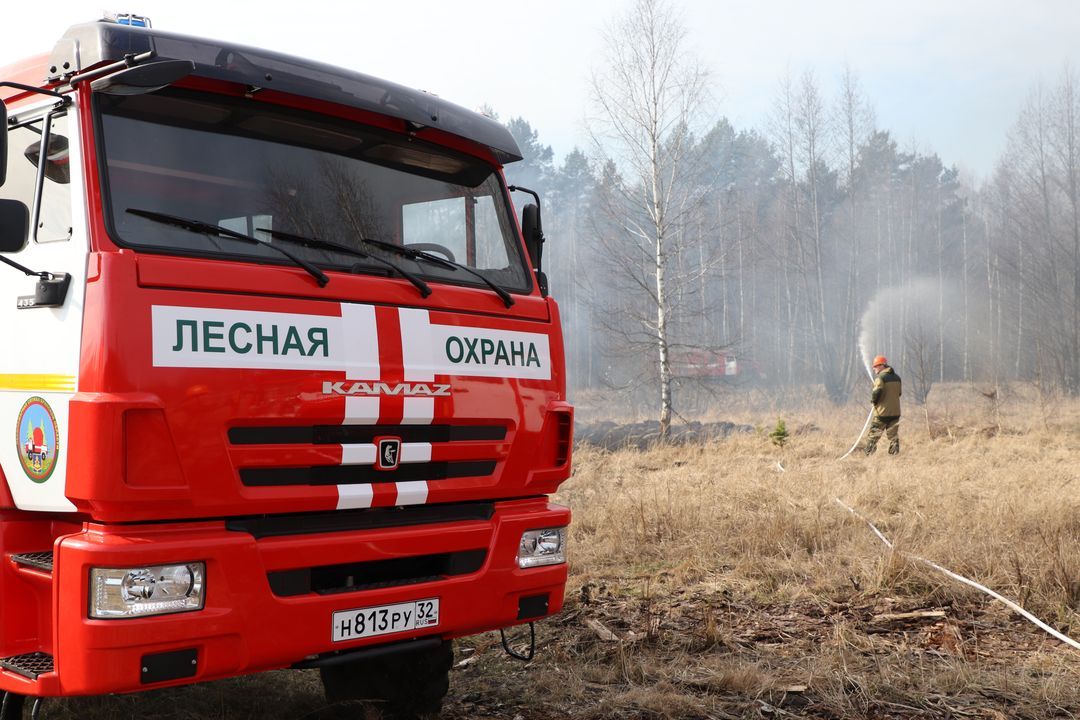 Жителей Брянской области предупредили о повышенных штрафах за нарушение пожарной безопасности