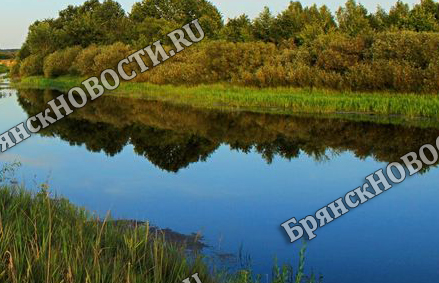 В реке Новозыбковского округа водолазы ищут утонувшего парня