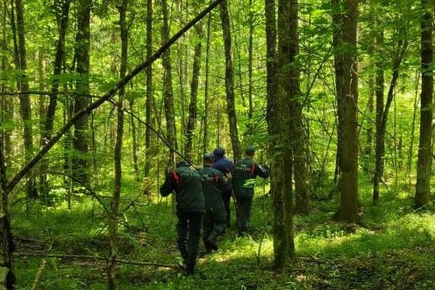 Под Новозыбковом нашли заблудившуюся в лесу женщину