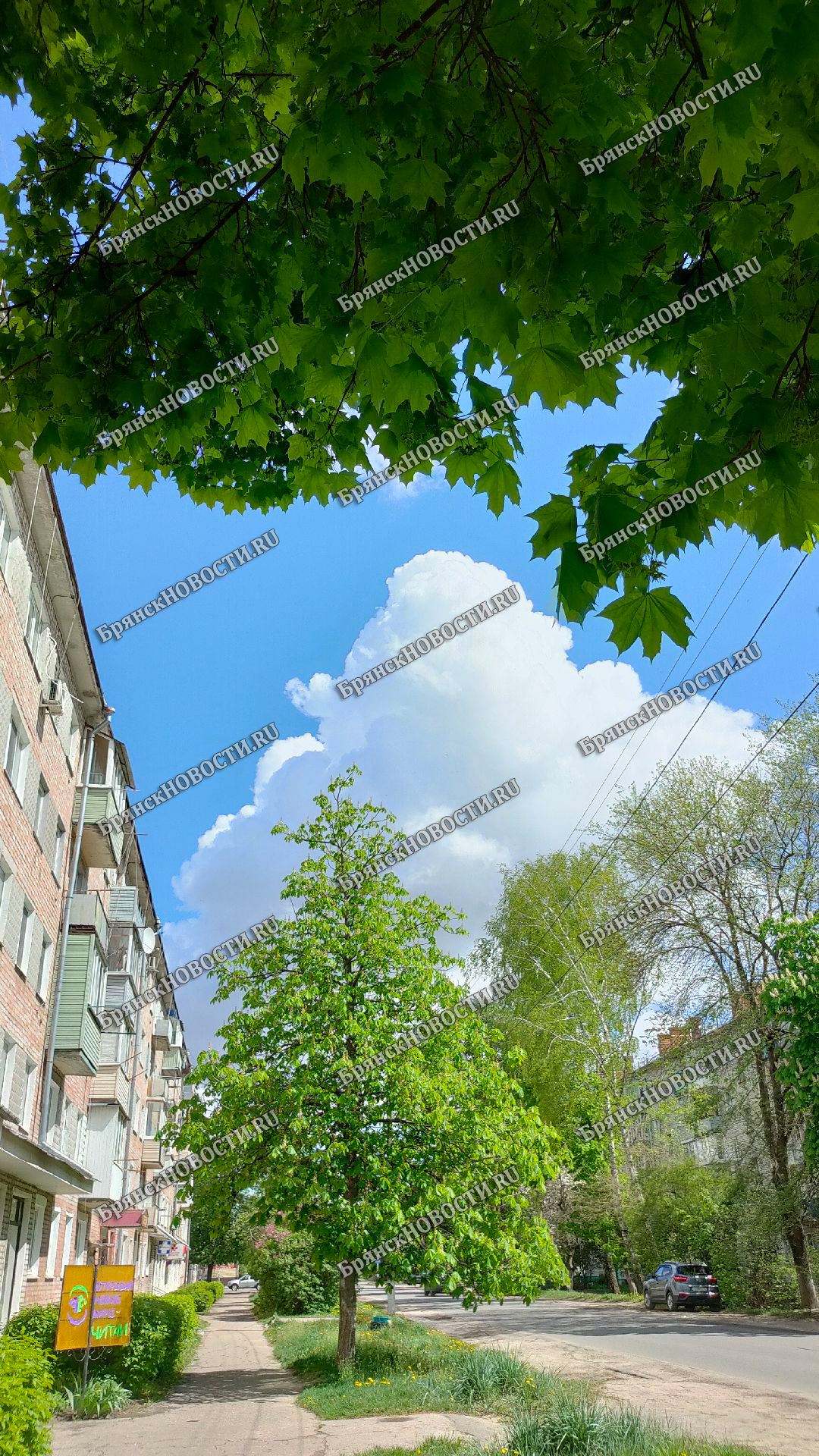 В Новозыбкове доверчивую гражданку обманули на крупную сумму • Новозыбков.SU