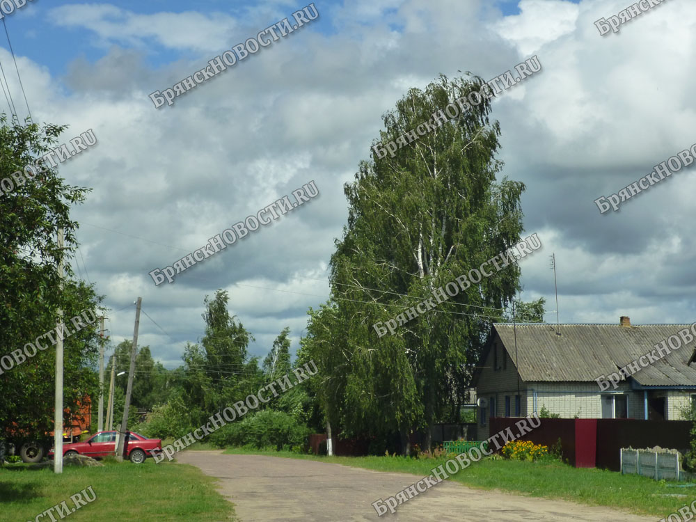Масштабное отключение электричества в Новозыбковском районе ликвидировали за пару часов